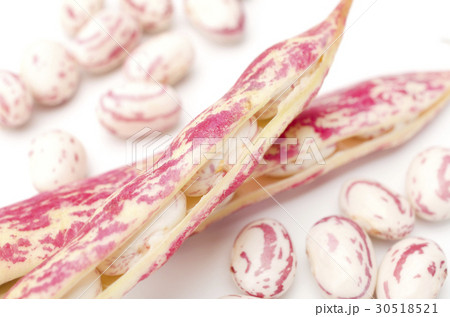 うずら豆 30518521