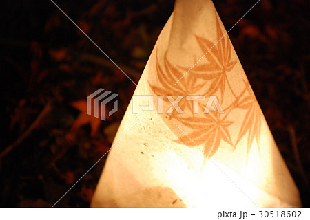 もみじと行燈 もみじと行燈 30518602