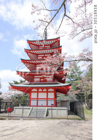桜咲く富士吉田市の新倉山浅間公園に建つ五重の塔、忠霊塔 桜咲く富士吉田市の新倉山浅間公園に建つ五重の塔、忠霊塔 30518938