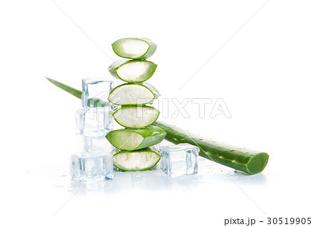 Aloe Vera Plant and Ice Cubes on White Background Aloe Vera Plant and Ice Cubes on White Background 30519905