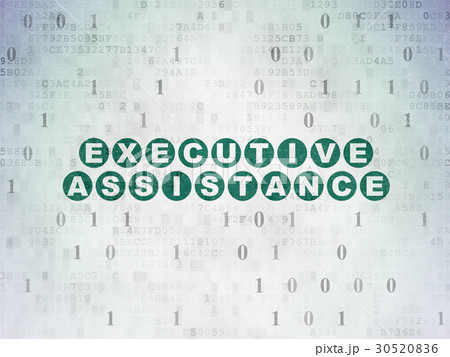 Finance concept: Executive Assistance on Digital 30520836