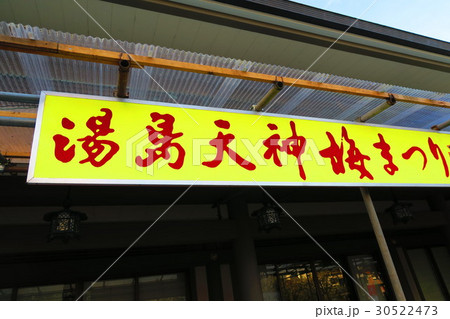 湯島天神(梅まつり・指定文化財) 湯島天神(梅まつり・指定文化財) 30522473