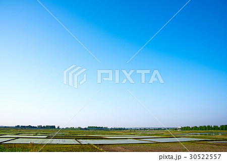 さいたま市　西区　西遊馬　荒川堤より東京方面わ望む 30522557