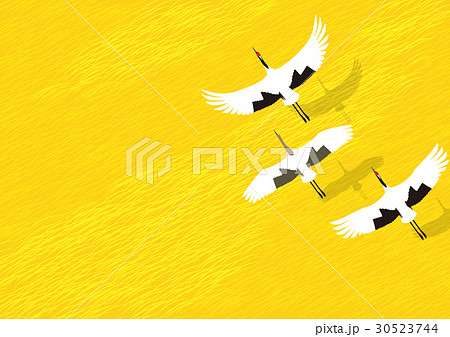 秋の草原 鶴の親子 秋の草原 鶴の親子 30523744