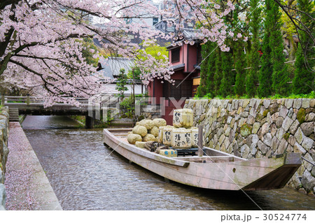 京都　高瀬川の桜　 30524774