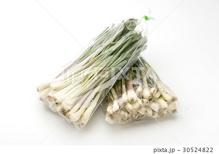 島らっきょう（沖縄 島野菜） 30524822