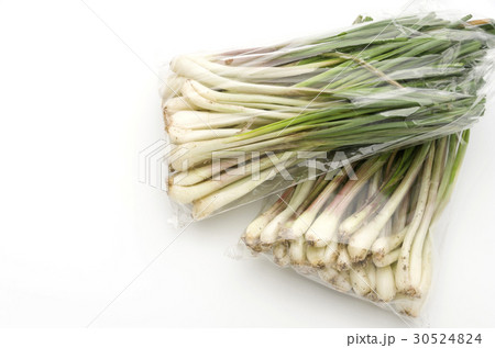 島らっきょう（沖縄 島野菜） 30524824