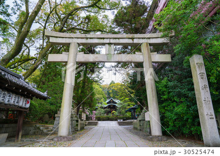 京都　岡崎神社　 30525474