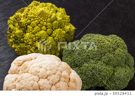 ブロッコリーとカリフラワー broccoli and cauliflower ブロッコリーとカリフラワー broccoli and cauliflower 30528411