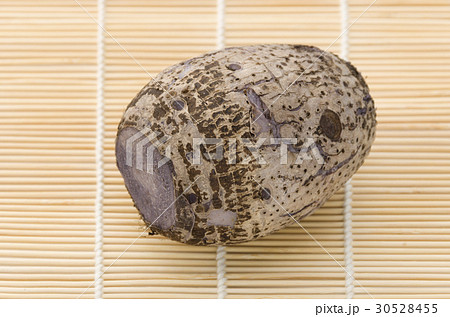 田芋 田芋 30528455