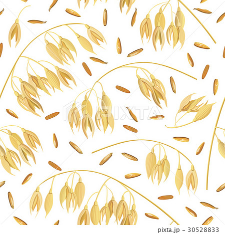 Oat ears of grain and bran. seamless pattern 30528833