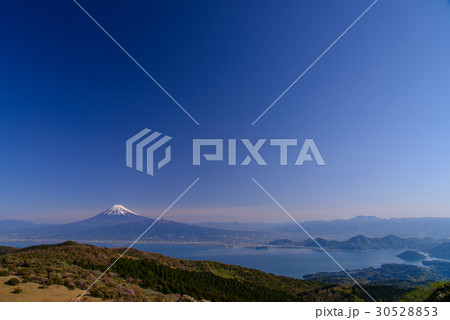 【静岡県】マメザクラ咲く伊豆の金冠山から富士山 30528853