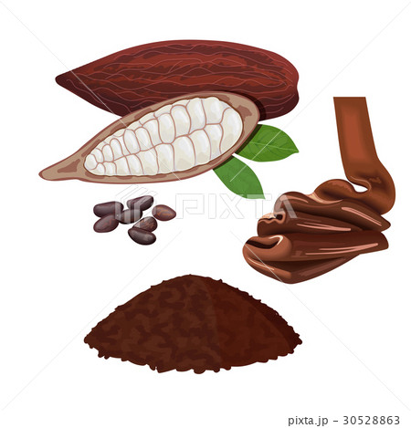 Fresh ripe Cocoa fruit. Cacao pod leaves and beans 30528863
