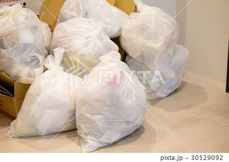 ゴミ 30529092