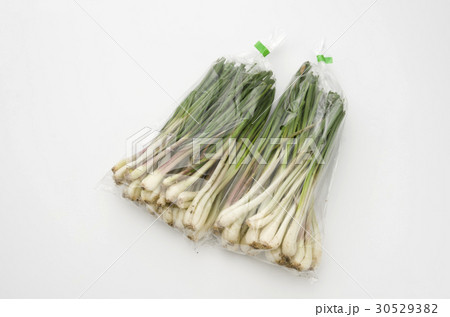 島らっきょう（沖縄 島野菜） 30529382