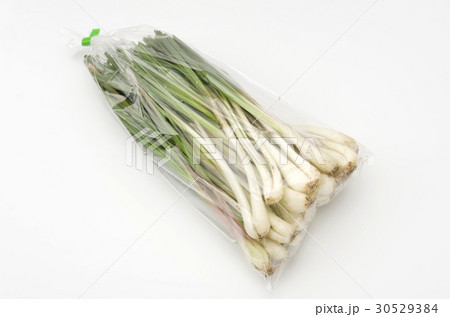 島らっきょう（沖縄 島野菜） 30529384