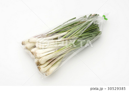 島らっきょう（沖縄 島野菜） 30529385