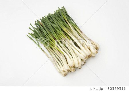 島らっきょう（沖縄 島野菜） 30529511