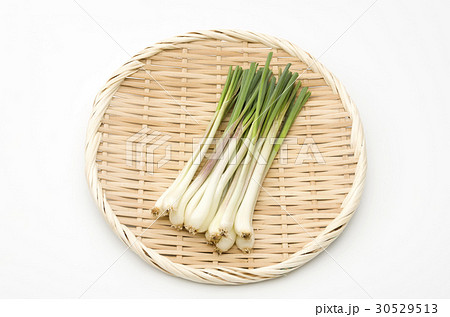 島らっきょう（沖縄 島野菜） 30529513