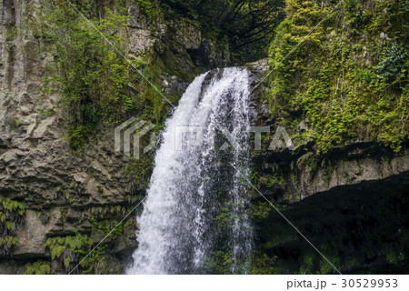 うのこの滝　五ヶ瀬川 30529953