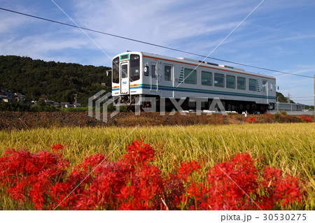 天竜浜名湖鉄道　秋 30530275