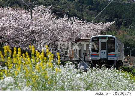 天竜浜名湖鉄道　春 30530277