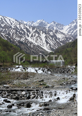 5月の北アルプス後立山連峰　不帰ノ嶮 30530923