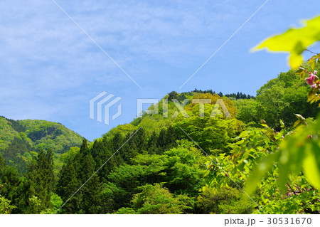 若葉芽吹く新緑の山と青い空 若葉の前ボケ 若葉芽吹く新緑の山と青い空 若葉の前ボケ 30531670