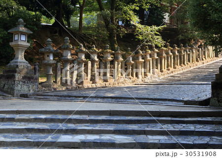 法華堂(三月堂)へつながる階段と石灯籠 30531908