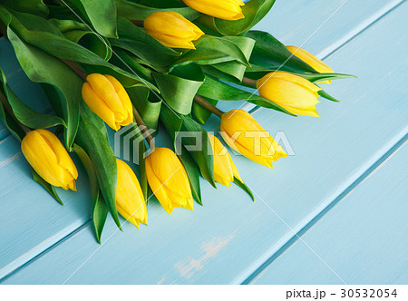 Yellow tulips on blue wood background, copy space 30532054
