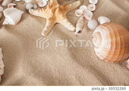 Sea beach sand and seashells background, natural 30532260