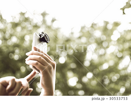 スナップ スナップ 30533753