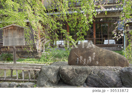 京都の祇園白川 京都の祇園白川 30533872