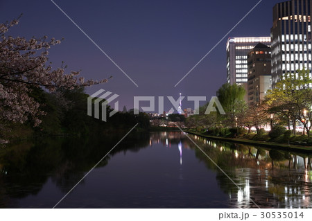 舞鶴公園 桜と夜景 舞鶴公園 桜と夜景 30535014