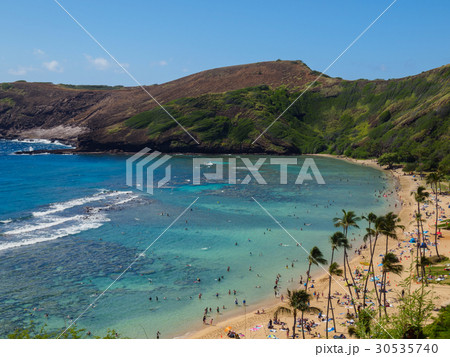 ハナウマ湾自然保護区 30535740