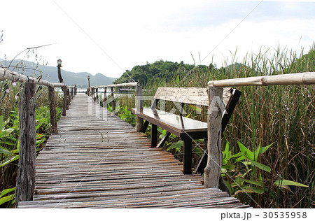 bamboo bridge walkway to lake on green field bamboo bridge walkway to lake on green field 30535958