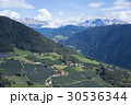 イタリアの畑 30536344