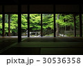 蓮華寺 30536358