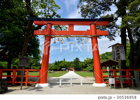 京都　上賀茂神社 鳥居　（世界文化遺産） 30536958