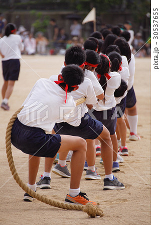 綱引きのチーム 30537655