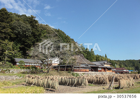 秋の農家 30537656