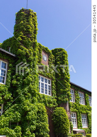 立教大学の本館 立教大学の本館 30541445