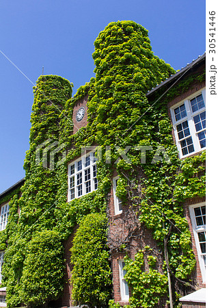 立教大学の本館 30541446