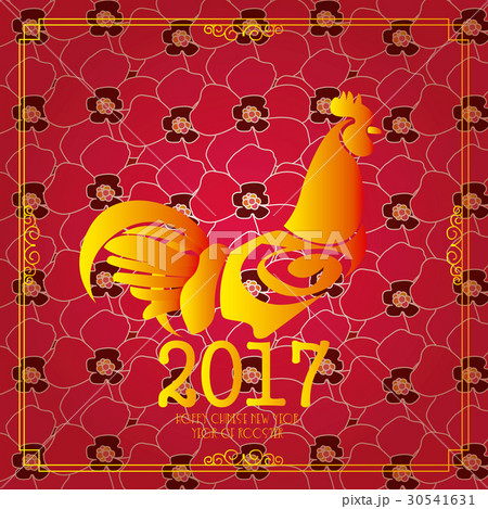 Chinese new year Chinese new year 30541631