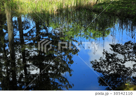 龍王ヶ淵の空 龍王ヶ淵の空 30542110