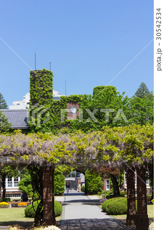 立教大学の本館 立教大学の本館 30542534