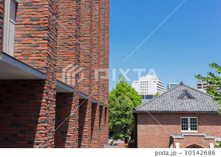 立教大学キャンパス 30542686