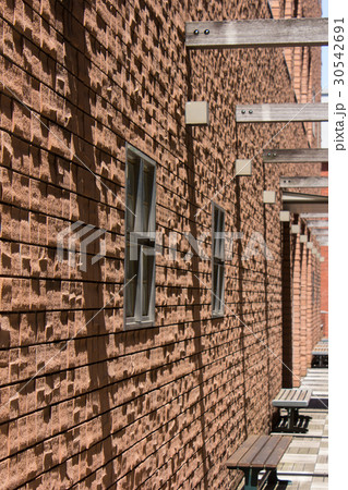 立教大学のキャンパス 立教大学のキャンパス 30542691