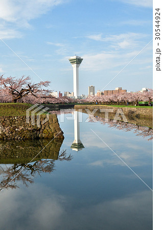 五稜郭公園の春 五稜郭公園の春 30544924