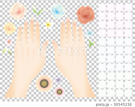 hand  30545238